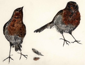 Robins